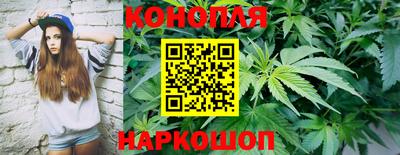 a pvp Кингисепп