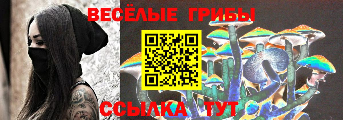 Галлюциногенные грибы ЛСД Георгиевск