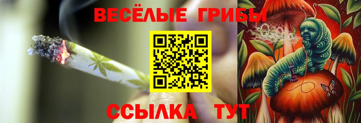 Георгиевск  Псилоцибиновые грибы GOLDEN TEACHER  Вход с VPN  Псилоцибиновые грибы Magic Shrooms 
